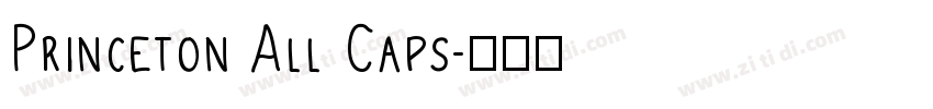 Princeton All Caps字体转换